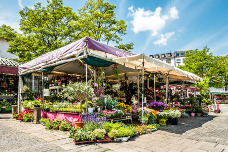 Munich, Germany - June 11: View of Viktualienmarkt a sunny day. It is a daily food market and a square in the center of Munich near Marienplatz onjune 11, 2018のeditorial素材