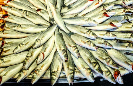 decoration at a typical italian fish marketの写真素材