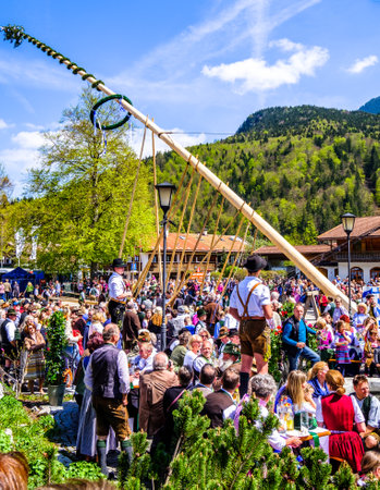 Kreuth, Germany - May 1: A traditional maypole is being set up by the local bavarians during the typical May Day festival on May 1, 2019 in Kreuth in Germany.のeditorial素材
