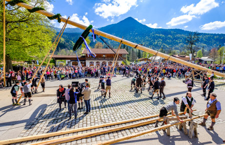 Kreuth, Germany - May 1: A traditional maypole is being set up by the local bavarians during the typical May Day festival on May 1, 2019 in Kreuth in Germany.のeditorial素材