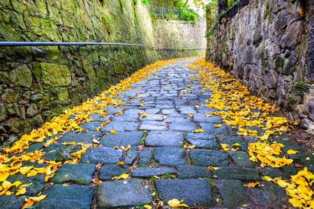 part of an old road
