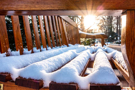 wooden park bench at a park
