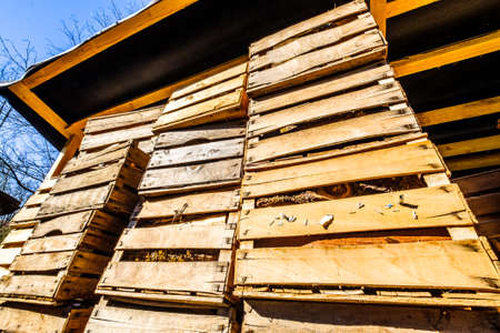 old wooden fruit boxes - photo
