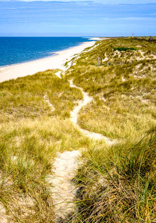 sand dune at the northsea - syltの写真素材