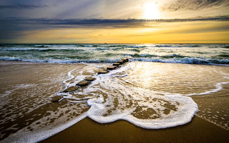 typical mole at the northsea - syltの写真素材