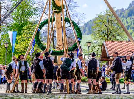 Kreuth, Germany - May 1: A traditional maypole is being set up by the local bavarians during the typical May Day festival on May 1, 2019 in Kreuth in Germany.のeditorial素材