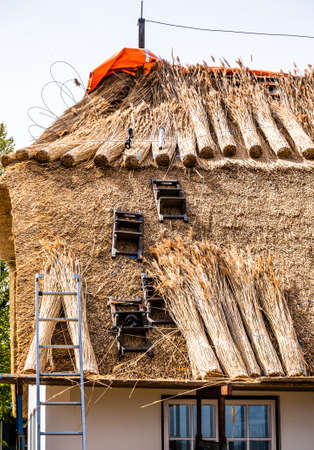 tiling a new typical thatched roof at a house in north germanyの写真素材