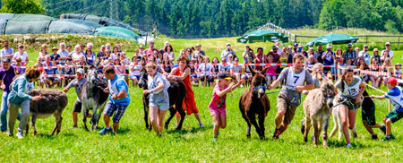 Holzhausen, Germany - June 9: participants and spectators of the annual donkey race in Holzhausen on June 9, 2019のeditorial素材
