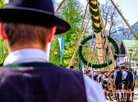Kreuth, Germany - May 1: A traditional maypole is being set up by the local bavarians during the typical May Day festival on May 1, 2019 in Kreuth in Germany.のeditorial素材
