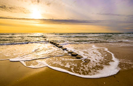 typical mole at the northsea - syltの写真素材