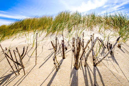 sand dune at the northsea - syltの写真素材