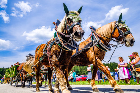 Dietramszell, Germany - July 20: people with traditional clothes at the annual horse-carriage procession with blessing, named leonhardifahrt on July 20, 2019 in Dietramszell, germanyのeditorial素材