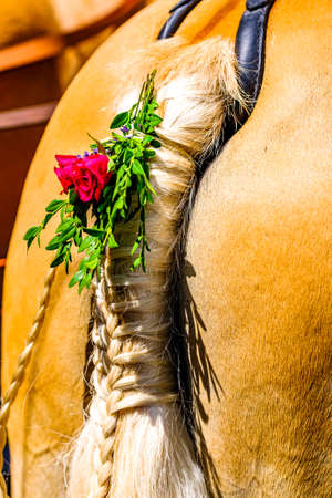 decorated horse at a parade in bavariaの写真素材