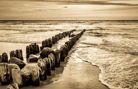 typical mole at the northsea - syltの写真素材