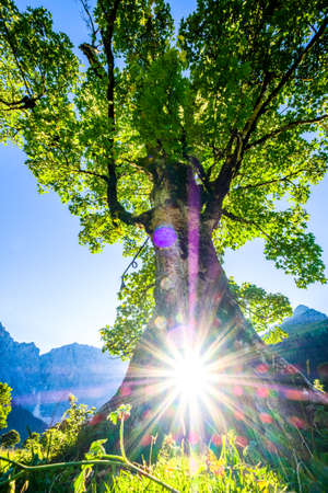 karwendel mountains in austria - small valley called eng almの写真素材