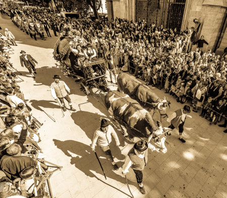 Munich, Germany - September 21: Participants, carts, marching bands of the annual opening parade called "einzug der wirte" of the oktoberfest on september 21, 2019 in the old town of munichのeditorial素材