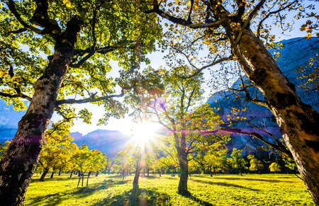 karwendel mountains in austria - small valley called eng almの写真素材