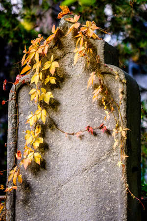 old blank gravestone at a cemeteryの写真素材