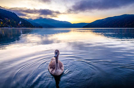 lake millstatt in austria - photo