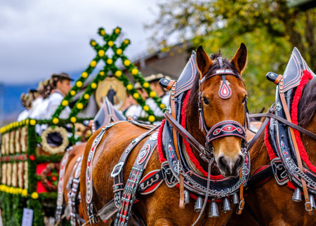 Benediktbeuern, Germany - November 3: people with traditional clothes at the annual horse-carriage procession with blessing, named leonhardifahrt on November 3, 2019 in Benediktbeuern, germanyのeditorial素材