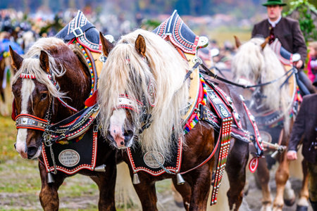 Bad Toelz, Germany - November 6: people with traditional clothes at the annual horse-carriage procession with blessing, named leonhardifahrt on November 6, 2019 in bad toelz, germanyのeditorial素材