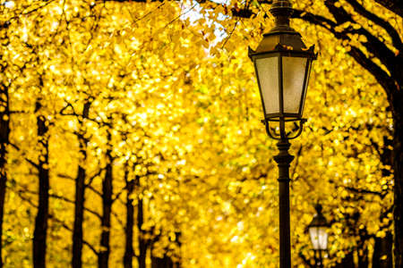 old streetlamp at a alley in autumnの写真素材