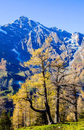 landscape at the grossglockner mountain in austriaの写真素材