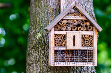 old insect house at a farmの写真素材