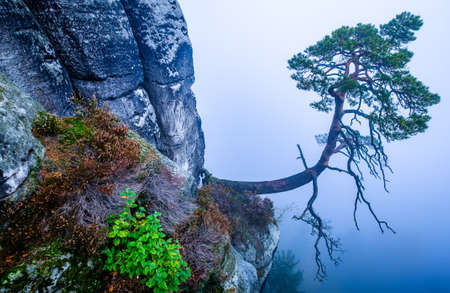 view at the famous bastei hills - germany