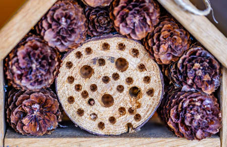 old insect house at a farmの写真素材