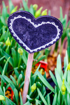 nice heart shape for background