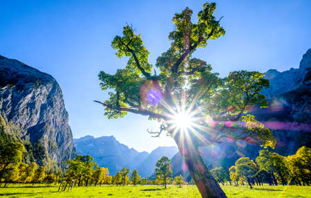 karwendel mountains in austria - small valley called eng alm