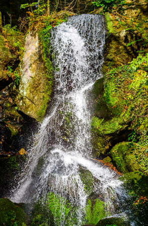 nice small waterfall at a forest