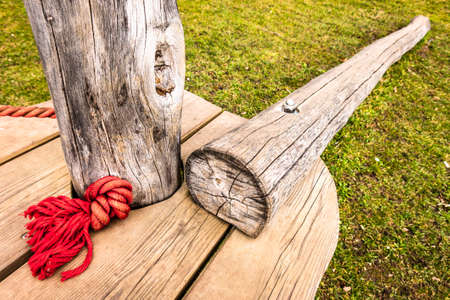 high ropes course at a forest