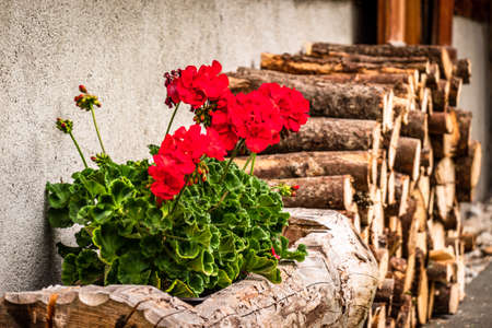 firewood at a farm - nice backgroundの写真素材