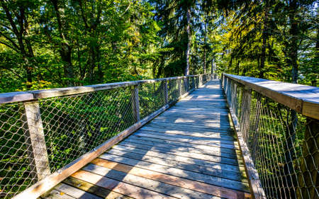 old bridge at the alps - photoの写真素材