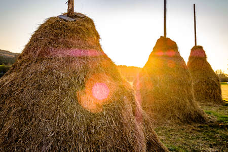 typical old hay stacks - bavariaの写真素材