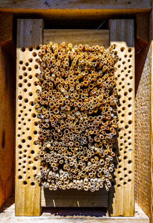 typical insect hotel - wooden  - photoの写真素材