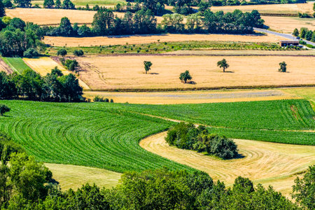 field at the european alps - photo