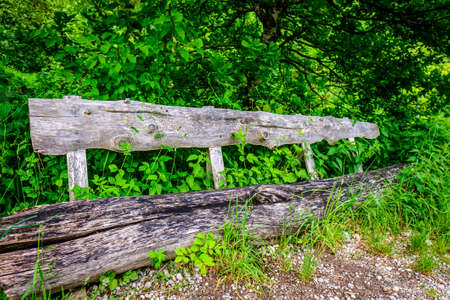 old wooden park bench - photoの写真素材