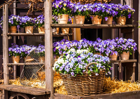 rustic flower decoration at a farmhouseの写真素材