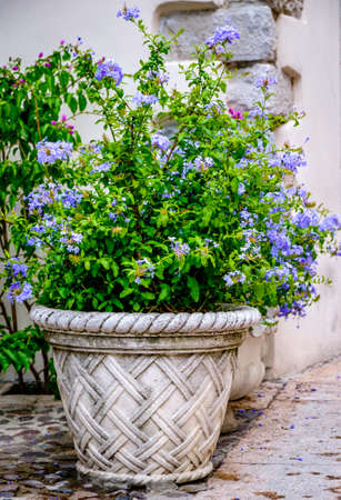 rustic flower decoration at a farmhouse