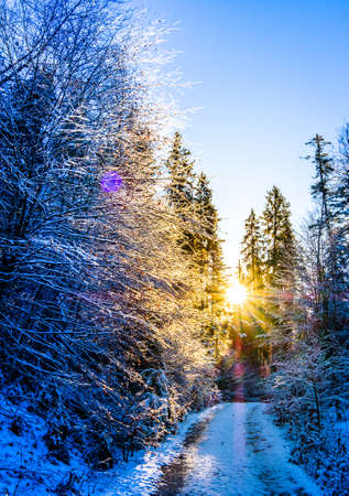 old footpath - nice background - photo