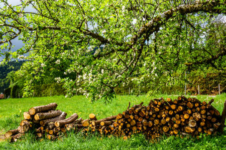 close up of a heap of firewoodの写真素材
