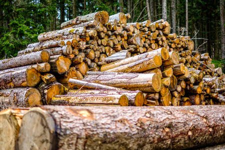 close up of a heap of firewood