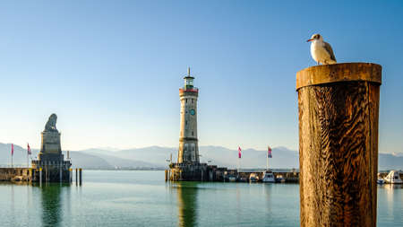 famous harbor with sailboats at the historic island of Lindau am Bodensee - Germanyの写真素材