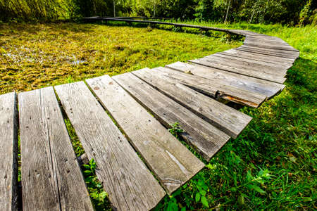 old footpath at the european alps - photoの写真素材