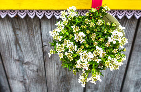 vintage decoration with flowers - photo
