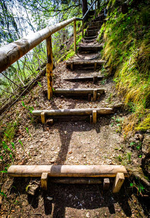 footsteps at a forest trail - photoの写真素材