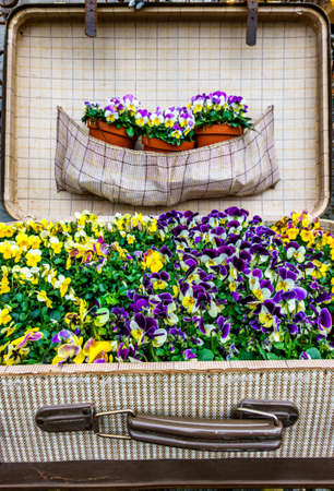 vintage decoration with flowers - photo